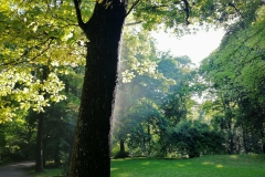 Englischer-Garten - München